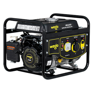 Wego WG2500